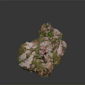 Natural Wood Stone Decorative Surface With Green Moss And Red Rock Texture