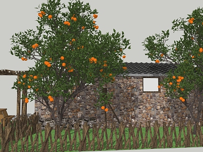 Modern Fruit Tree Citrus Tree Orange Tree Midea Ponkan Orange Country Fruit Tree model