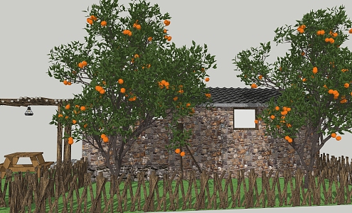 Modern Fruit Tree Citrus Tree Orange Tree Midea Ponkan Orange Country Fruit Tree 3d model