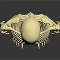 Realistic Golden Human Skeleton Anatomical Model Full Body Standing On Gray Background