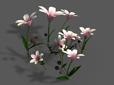 Beautiful Pink And White Flowers With Green Leaves And Small Buds On Stems 3d model