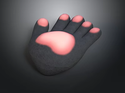 Detailed Animal Paw With Five Pink Toe Pads And Dark Textured Surface 3d model