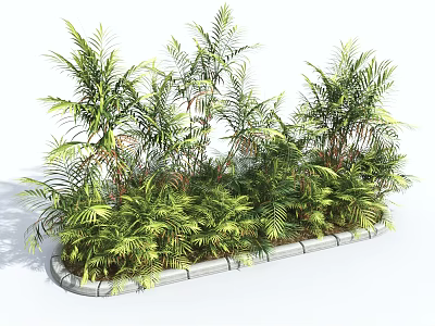 Lush Green Shrubs with Diverse Tropical Foliage in Outdoor Garden Bed Border 3d model