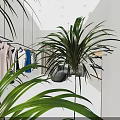 Modern Clothing Store Interior With Hanging Clothes On Racks And Ceiling Lights