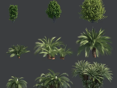 Various Arbor Trees Collection With Lush Green Foliage For Landscape Design Use 3d model