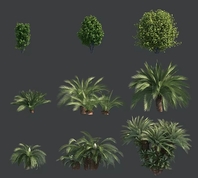 Various Arbor Trees Collection With Lush Green Foliage For Landscape Design Use 3d model
