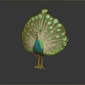 Majestic Peacock Displaying Vibrant Green And Blue Fanned Tail Feathers With Eye Spots