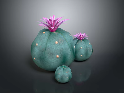 Decorative Indoor Cactus Plants With Purple Flowers Green Bodies And White Spots In Three Sizes 3d model
