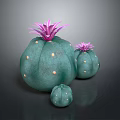 Decorative Indoor Cactus Plants With Purple Flowers Green Bodies And White Spots In Three Sizes