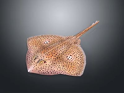 Yellow Black Spotted Stingray Themed Decorative Wall Art For Home Living 3d model
