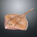 Yellow Black Spotted Stingray Themed Decorative Wall Art For Home Living