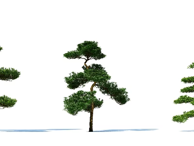 Arbors With Unique Curved Branches And Lush Green Foliage In Landscape 3d model