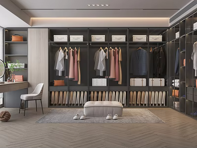 Luxury Walk in Closet Interior With Hanging Clothes Wooden Cabinets Shoe Storage Bench And Rug 3d model