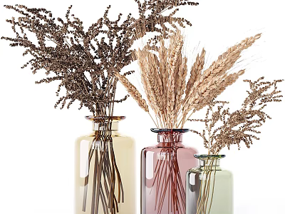 Pastel Colored Decorative Ornament Set with Glass Vases Dried Wheat Ears and Natural Plants 3d model