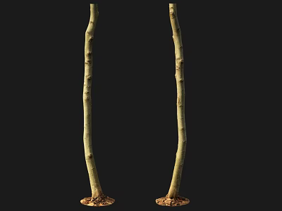 Two Slender Tree Trunks With Textured Bark And Soil Base For Landscaping 3d model