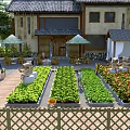 Traditional Garden Landscape With Wooden Deck Planting Beds Green Vegetables Flowers Umbrellas And Stone Lanterns