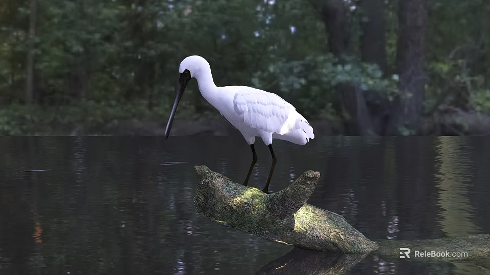 White Egret Standing On A Tree Branch In Water With Green Forest Background 3d model 