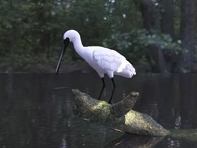 White Egret Standing On A Tree Branch In Water With Green Forest Background 3d model