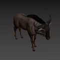 Realistic 3D Antelope Model With Grey Body Horns And Standing In Dark Background