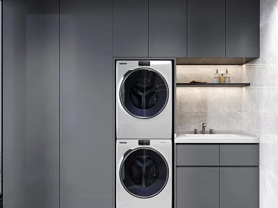 Home Balcony Modern Laundry Space With Stacked Washer Dryer Gray Cabinets And Sink 3d model
