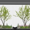 Modern landscape sketch courtyard sketch plant landscaping rockery stone indoor landscape plant pile ferns 3d model