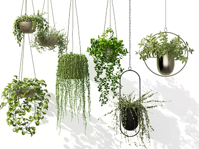 Various Hanging Basket Plants With Lush Greenery And Decorative Suspended Planters 3d model