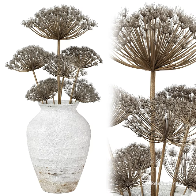 Decorative Ornament Set with White Vase and Dried Puffball Plants for Home Decor 3d model 
