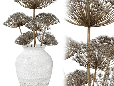 Decorative Ornament Set with White Vase and Dried Puffball Plants for Home Decor 3d model