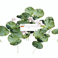 Decorative Vase With Fresh White Flowers And Green Leaves For Home Decoration