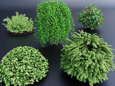 Diverse Collection of Green Shrubs With Various Leaf Shapes And Red Berries 3d model