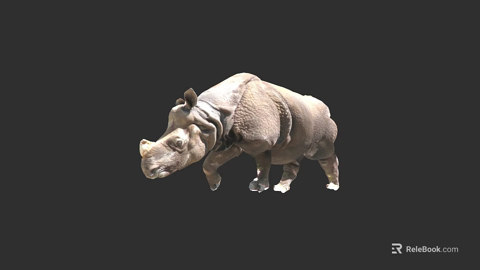 Realistic Indian Rhinoceros Standing Pose With Gray Skin On Black Background 3d model 