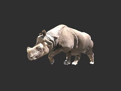 Realistic Indian Rhinoceros Standing Pose With Gray Skin On Black Background 3d model