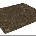 Dry Plant Debris With Twigs Pine Needles And Small Stones On Black Background