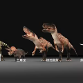 Realistic Reptile Models Featuring Triceratops Velociraptor And Tyrannosaurus Rex