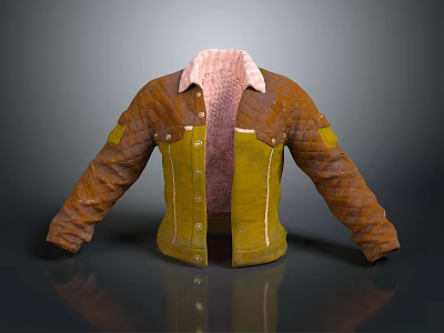 Brown and Yellow Jacket With Fleece Collar Buttons and Patched Design 3d model