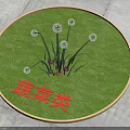 Vegetable Plants With White Flowers Growing In Circular Grassy Display Area