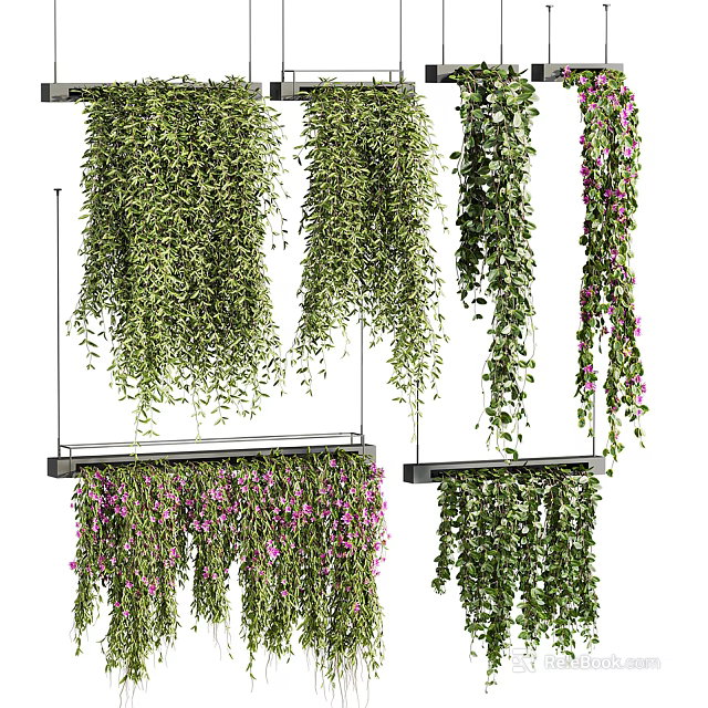 Various Hanging Vines With Green Foliage And Purple Blooms For Indoor Decoration 3d model 