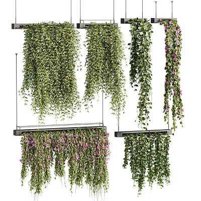 Various Hanging Vines With Green Foliage And Purple Blooms For Indoor Decoration 3d model