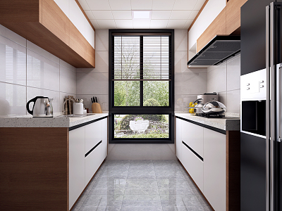 Modern Kitchen model