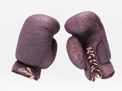 Brown Leather Lace Up Boxing Gloves As Sports Equipment For Boxing Training 3d model