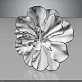 White Flower with Black Edged Petals on Dark Background Showing Reflection 3d model