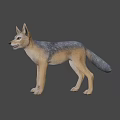 Realistic 3D Model of Standing Fox With Brown And Gray Fur On Gray Background