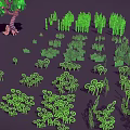 Various Green Plants Including Trees Shrubs And Ferns As 3D Models On Dark Background