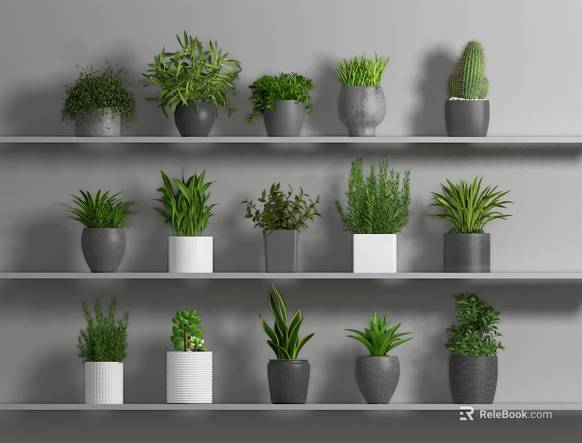Potted Plants On Gray Shelves With Various Green Foliage And Gray White Pots 3d model 