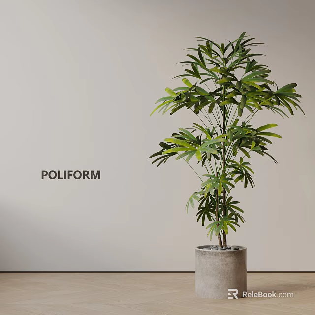Lush Indoor Bonsai Potted Plant With Green Leaves Gray Concrete Pot And Light Wall Background 3d model 