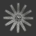 Symmetrical Green Plant With Radial Slender Leaves Central Stem And Glossy Texture On Dark Background