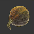 Vibrant Orange And Green Pumpkin With Curved Stem For Home Decoration