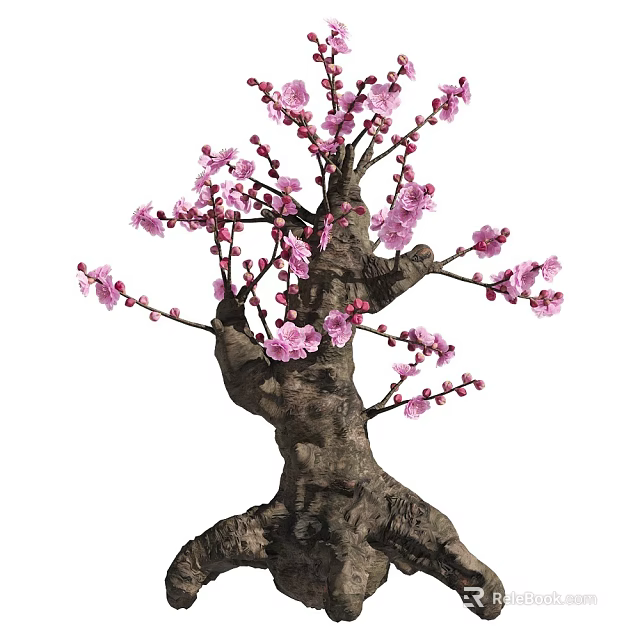 Lush Blooming Arbor Tree with Pink Flowers Thick Textured Trunk and Twisted Branches 3d model 