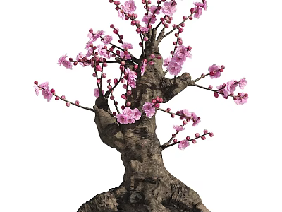 Lush Blooming Arbor Tree with Pink Flowers Thick Textured Trunk and Twisted Branches 3d model
