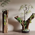 Decorative Bonsai Potted Plants in Tree Trunk Containers with Green Foliage and Moss